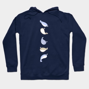 Sacabambaspis Fish Hoodie